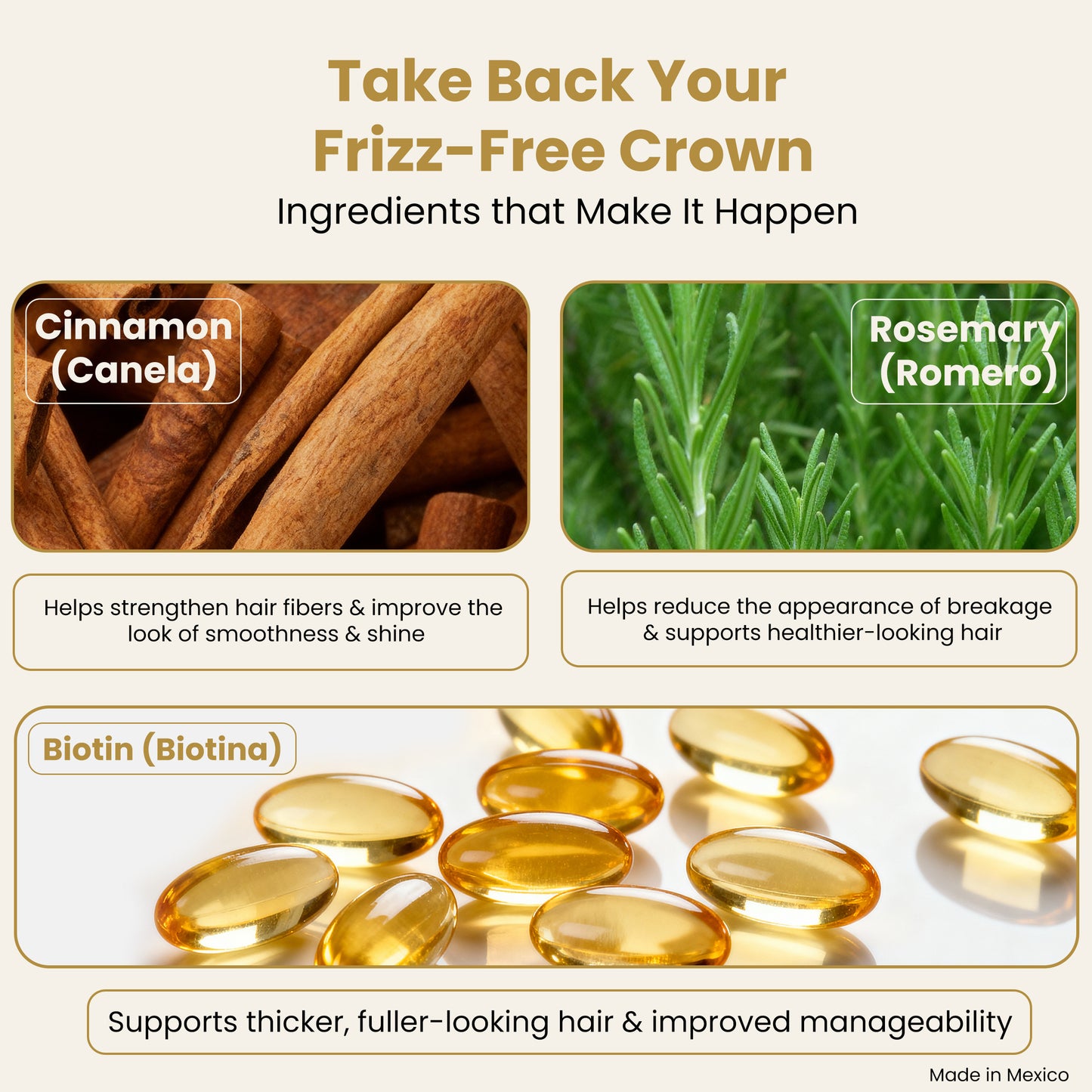 Biotin + Cinnamon + Rosemary Hair Conditioner